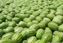 今日吃瓜热门大瓜每日更新,紧跟热门大瓜，揭秘娱乐圈最新动态