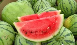 51朝阳吃瓜 热点吃瓜 今日吃瓜每日更新,紧跟热点，每日更新，尽享吃瓜盛宴